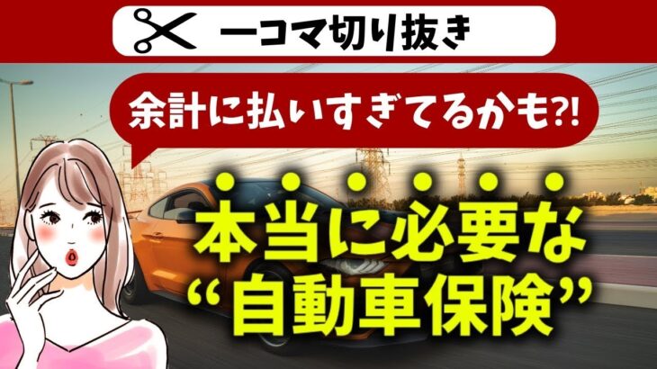 【余計に払ってるかも⁉︎】本当に必要な自動車保険の項目｜切り抜き