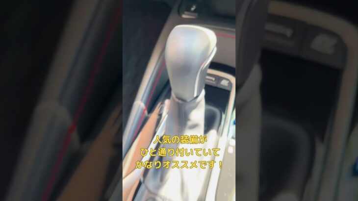 元試乗車！カローラスポーツHVのご紹介　後編