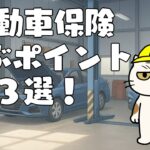 【VTuber】自動車保険：選ぶポイント３選！