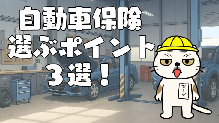 【VTuber】自動車保険：選ぶポイント３選！