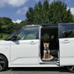 新型ダイハツムーヴ試乗！実用性と走り性能の高さに驚愕