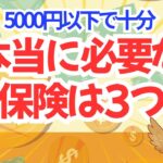 保険料に月1万円？それムダです。本当に必要なのはこの3つだけ