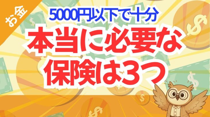 保険料に月1万円？それムダです。本当に必要なのはこの3つだけ
