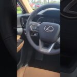 2025 Lexus NX350 Walk Around | Stunning Luxury SUV Tour at Lexus of Orange Park