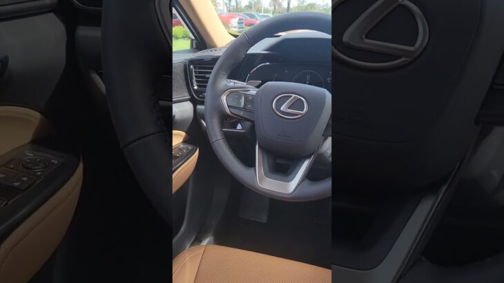 2025 Lexus NX350 Walk Around | Stunning Luxury SUV Tour at Lexus of Orange Park