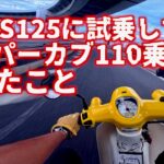 【スーパーカブ110】試乗したGSX-S125とJA59スーパーカブ110を比較インプレッションしてみる : HONDA SuperCub 110 JA59