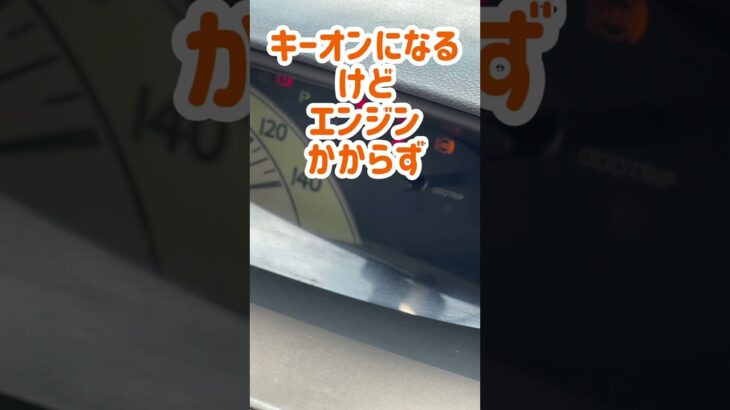 『車DIY バッテリーあがっちゃいました』#バッテリー上がり  #バッテリー #復旧  #diy #車 #shorts
