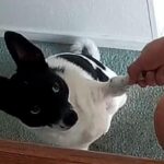 苗場ひとり暮らし（417）タイヤ交換