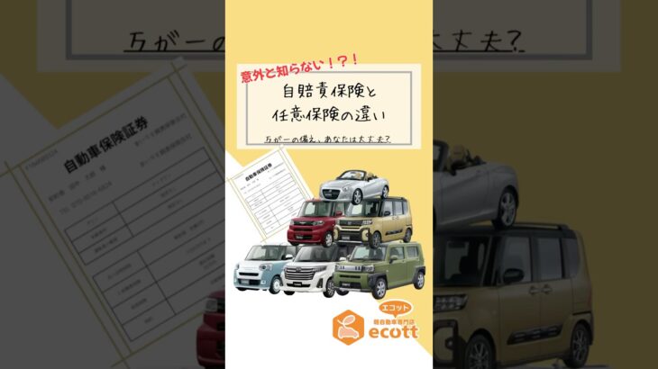 任意保険と自賠責保険の違い、知ってますか？#車屋 #軽自動車専門店エコット #奈良県 #天理市#任意保険 #自賠責保険 #保険の違い #車の保険 #初心者ドライバー #自動車保険見直し #交通