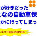 みんなが好きだった『おとなの自動車保険』はどこかに行ってしまった･･･【2025年9月改定を反映した最新版】