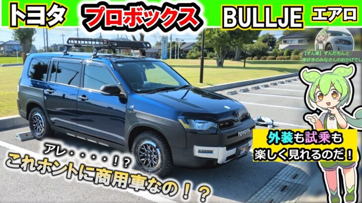 【トヨタ　プロボックス】これに乗れるなら社畜になってもいい！カッコ良すぎた営業車ｗ【内外装&試乗レビュー】