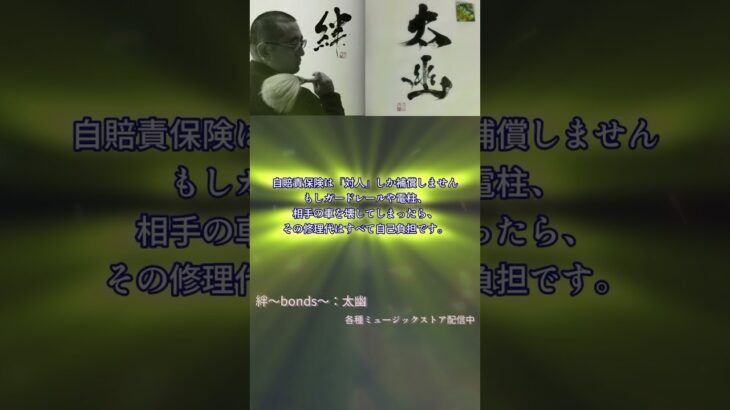 任意保険は大事だよ