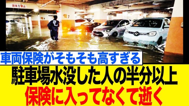 【悲報】駐車場が水没した160台の車…その半数以上が保険金ゼロの衝撃的な理由とは？