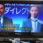 イーデザイン損害保険誕生、東京海上ダイレクト（字幕）