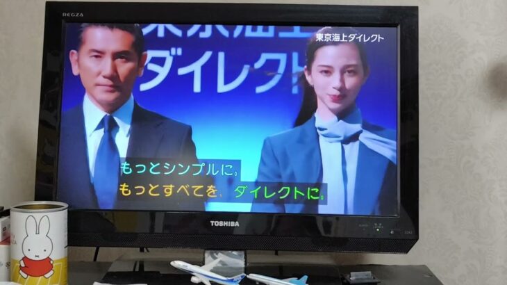 イーデザイン損害保険誕生、東京海上ダイレクト（字幕）