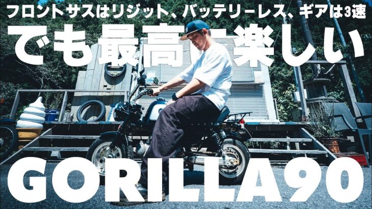 【 試乗動画 】 バイクの原点!ホンダ ゴリラで味わう“走る楽しさ”  【 モトブログ 】