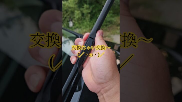 ワイパーゴムとエアコンフィルターの交換　＃車　＃車好き　＃ワイパーゴム　＃エアコンフィルター　＃diy　＃猫　＃猫好き　＃SAI