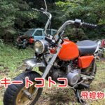タイカブモンキー100でトコトコ　試乗でやらかした。　360ccお宝探し(草ヒロ)Honda ステップバン　ライフピックアップトラック