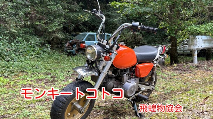 タイカブモンキー100でトコトコ　試乗でやらかした。　360ccお宝探し(草ヒロ)Honda ステップバン　ライフピックアップトラック