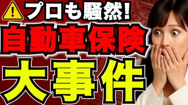 【事件発生】保険入ってたのに”全額自己負担”!  知らなきゃ地獄の自動車保険トラブル＜車両保険＞