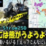 【SUZUKI V-Strom250】奈良には熊が結構いる模様・・人里近くにも！早朝バイクの走行にはご注意を！
