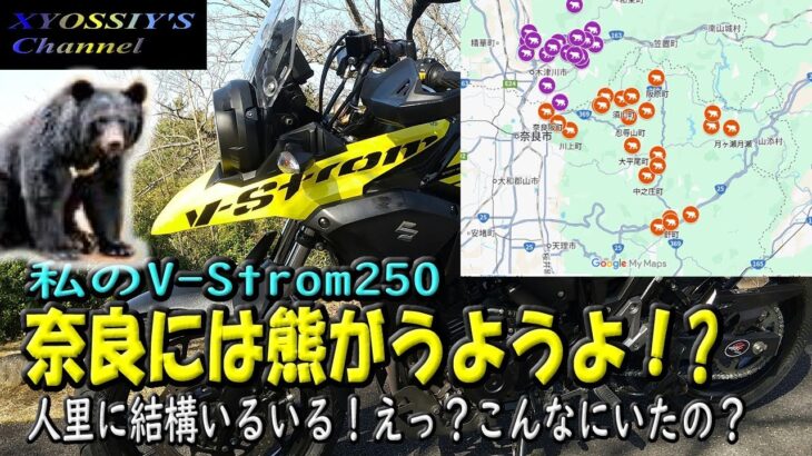 【SUZUKI V-Strom250】奈良には熊が結構いる模様・・人里近くにも！早朝バイクの走行にはご注意を！