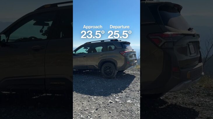 We Drove the New Subaru Forester Wilderness