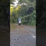 ホンダ ジュリオ 試乗