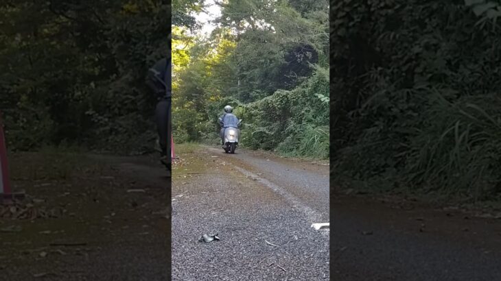 ホンダ ジュリオ 試乗