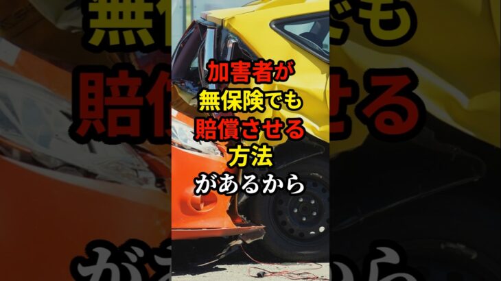 自動車保険で損しないライフハック  #あなたの財産を守るライフハック #雑学 #ライフハック