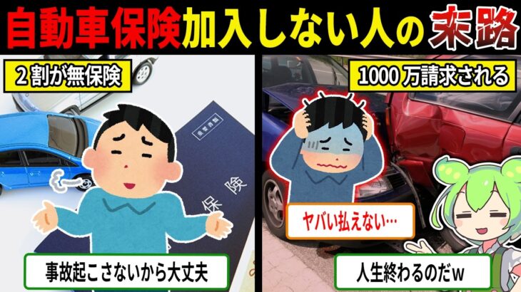 常識が通用しない・・・自動車保険に入らなかった人の末路【ずんだもん＆ゆっくり解説】