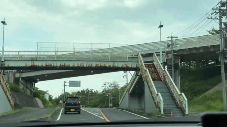 スバル レックス(5AA-A202F)ハイブリッド試乗動画