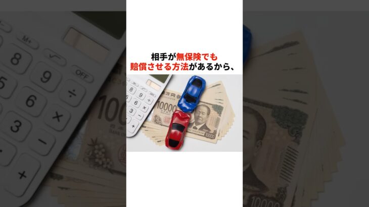 相手が無保険でも賠償させる方法　#自動車 #保険#無保険#賠償