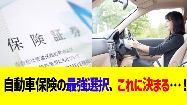 自動車保険の最強選択、これに決まる…！！