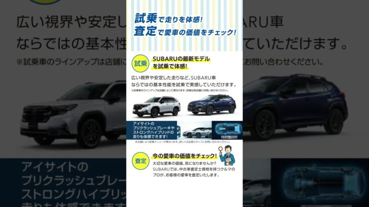 安心と楽しさを体感！最新モデル試乗＆愛車査定キャンペーン（試乗車・試乗体験）