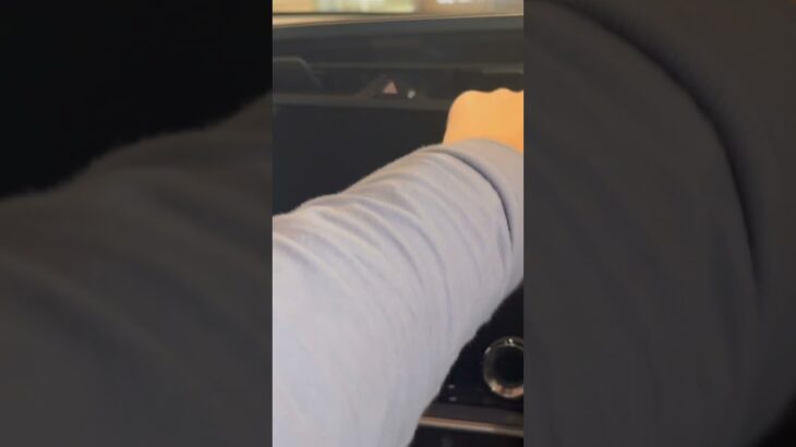 レクサス RZ 試乗車