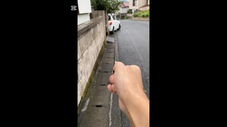 カレー🍛に人参🥕を入れてみた。車のリモコンキーの電池交換。cr1220