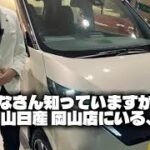 セールスをしない試乗のスペシャリスト！岡山日産ブランドクルー