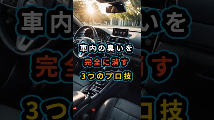 車内の“臭いを完全に消す”3つのプロ技
