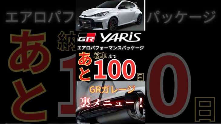 【GRヤリス納車まで100日】裏メニュー試乗｜LBX morizo RRでMT練習