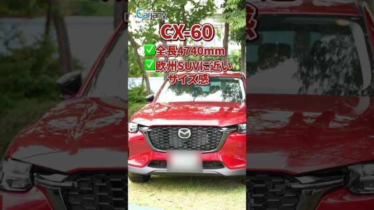 【サイズ比較】CX-60 vs CX-80|見た目以上に違う?ボディサイズと乗り味をチェック!