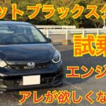 フィットe:HEVブラックスタイル試乗！e:HEVの走りを楽しむ！【HONDA FIT】
