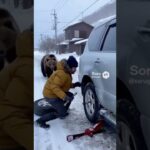北海道小樽市で車のタイヤ交換してたら熊が