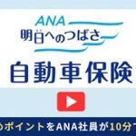 10分で分かる！もっと早く知りたかったANAの保険の魅力〜自動車保険編〜
