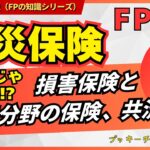 【FP3級】損害保険・第三分野・共済を総まとめ！これだけで全体像がわかる！#fp3級   #損害保険  #第三分野の保険  #共済