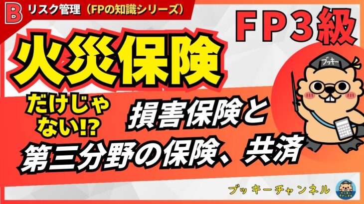 【FP3級】損害保険・第三分野・共済を総まとめ！これだけで全体像がわかる！#fp3級   #損害保険  #第三分野の保険  #共済
