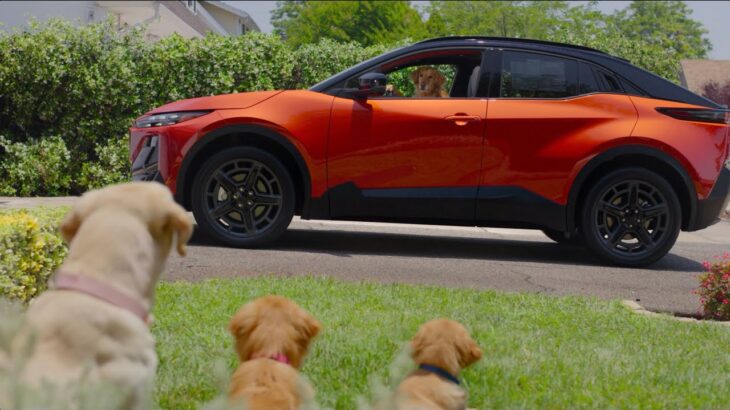 New Car Smell | Subaru Uncharted EV Dog Tested TV Commercial