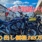 【CB1000F】HONDA CB 1000F試乗‼️CBRエンジンを積んだモンスターマシンだけどマイルドな味付けで万人向けだけどsports modeで爆速マシンに大変身❣️