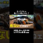 【危険】レクサスに迫る”空からの恐怖”　#有隣堂しか知らない世界 #ゆうせか #ゆーりんちー #ブッコロー #書店 #lexus #高級車 #試乗