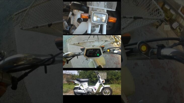 シャリーの試乗　以前修理したホンダ　ノーマルシャリーのエンジン始動　作動確認　モンキー　カブ　ダックス #バイク